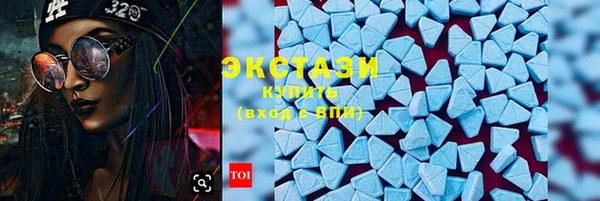 индика Заводоуковск