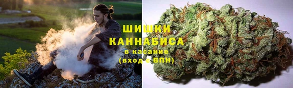 сатива Баксан